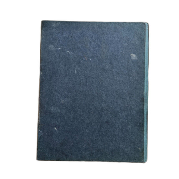 The Art of Walt Disney By Christopher Finch; 1975 - Picture 6 of 6